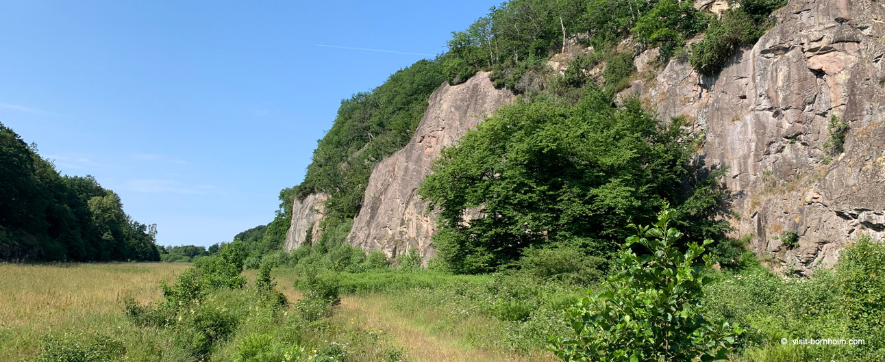 Almindingen – skov på Bornholm