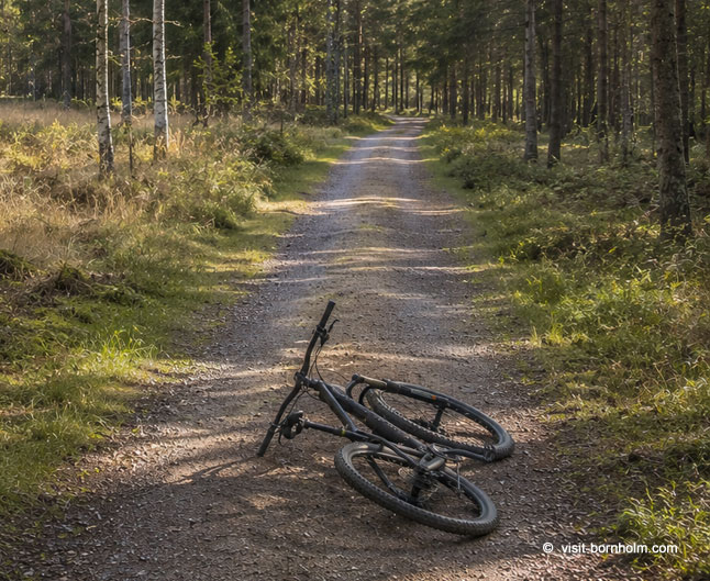 Cykelrute tværs over Bornholm