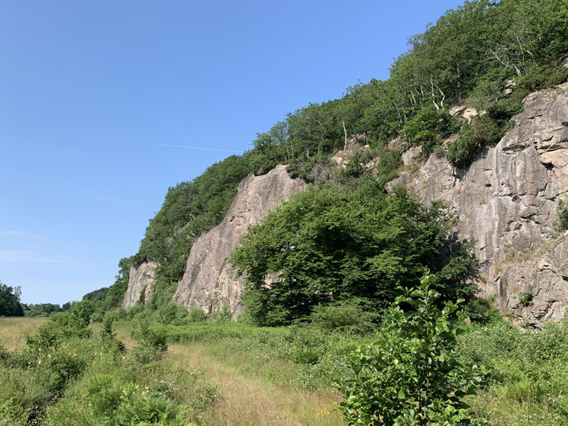 Almindingen – skov på Bornholm