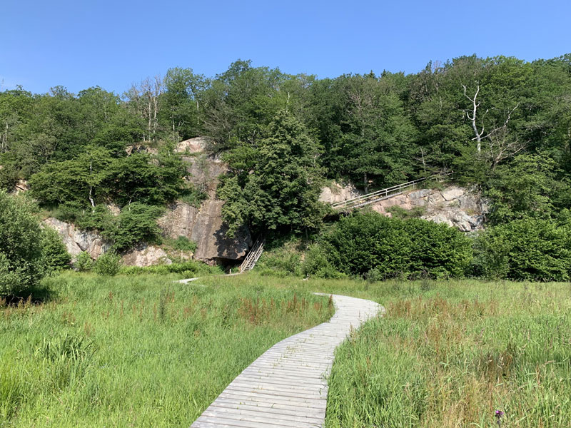 Almindingen – Największy las na Bornholmie