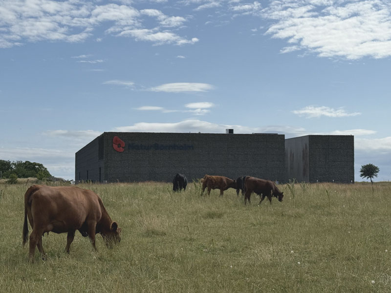 NaturBornholm - Poznaj bornholmskie dinozaury