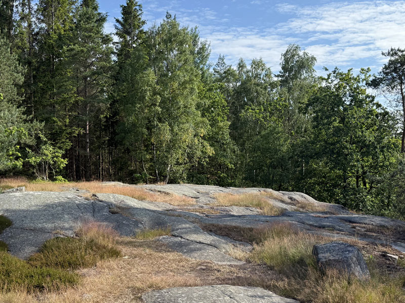 Paradisbakkerne – Paradisbakkerne