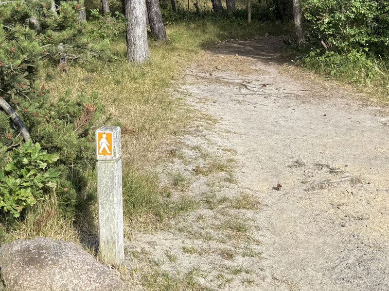 Orienteringsløb på Bornholm
