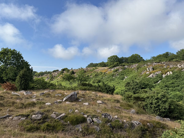 Ravnedal