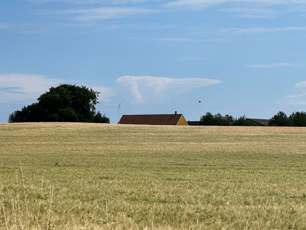 Området ved Bornholms lufthavn