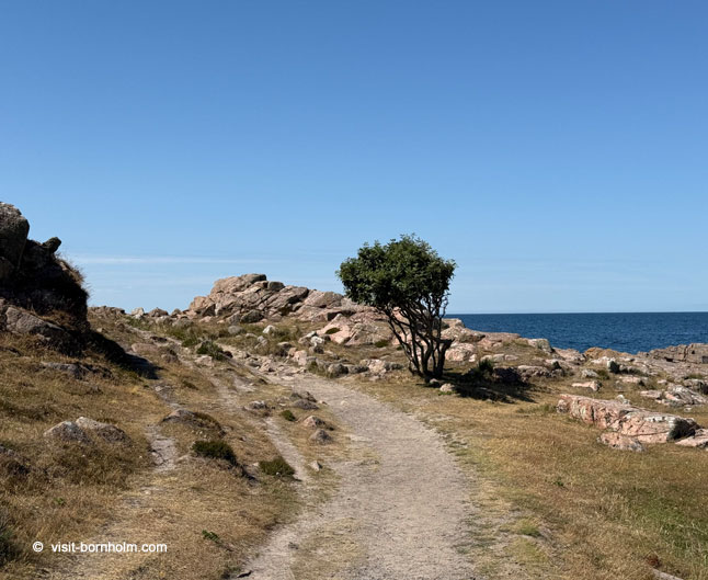 Natur und Tierwelt auf Bornholm