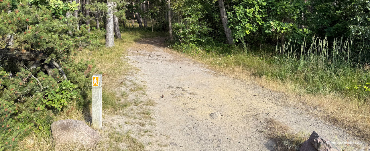 Orienteringsløb på Bornholm