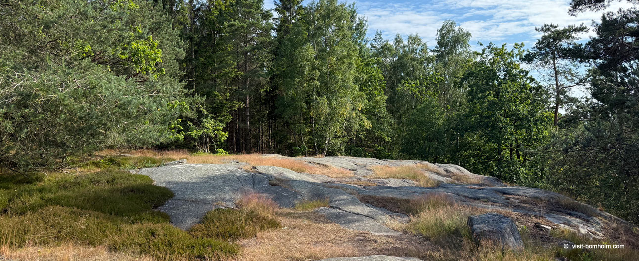 Paradisbakkerne på Bornholm