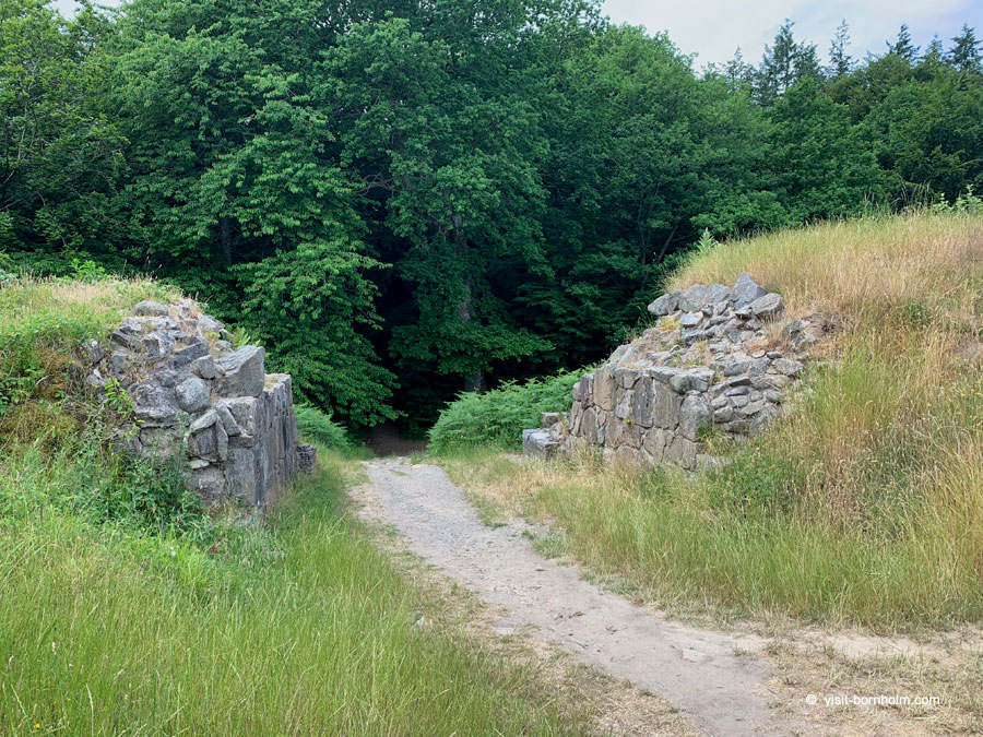 Almindingen skov – orienteringsløb-terræn