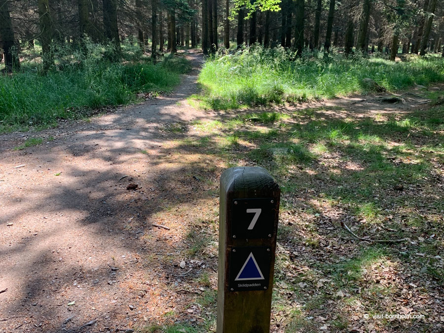 Almindingen Trailcenter