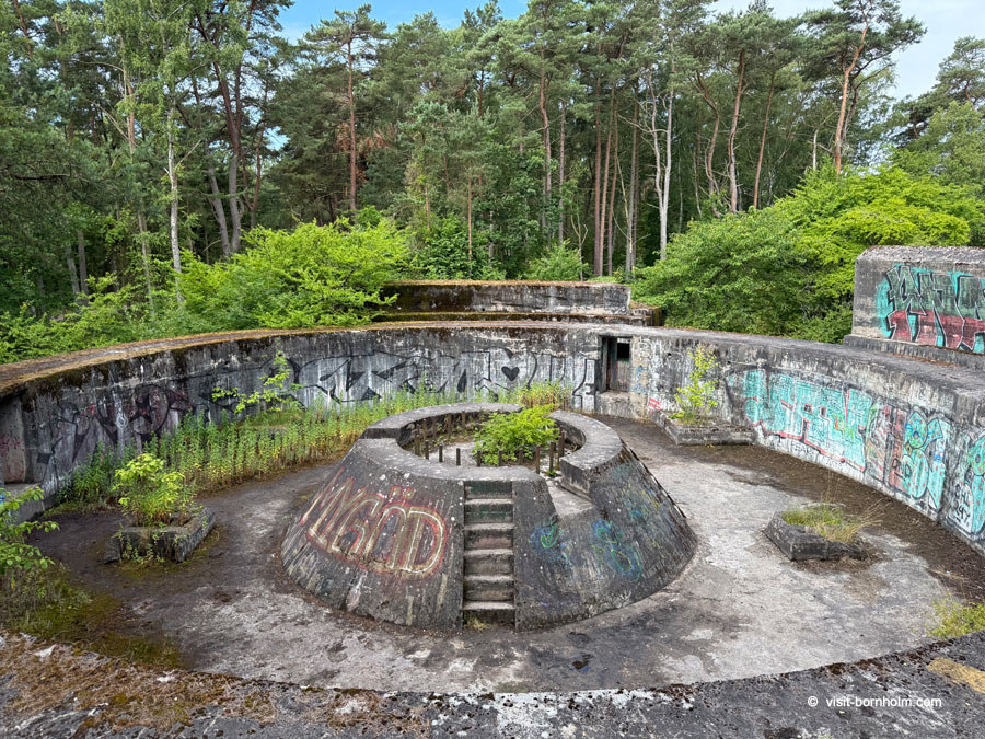 Gun Battery Remains
