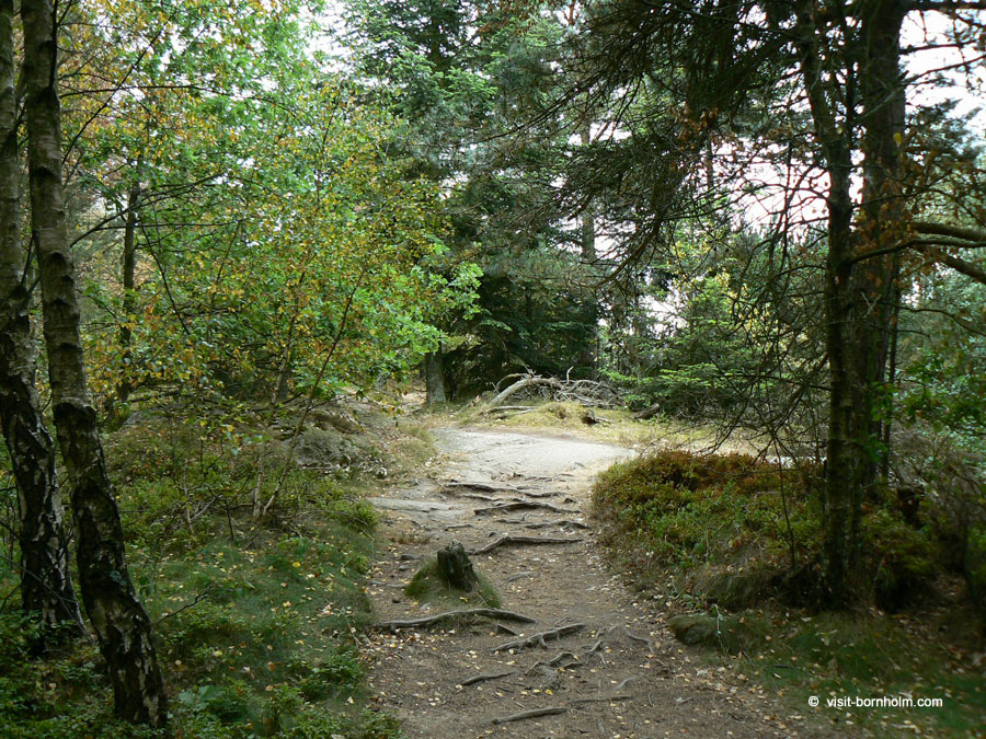 Sti i Paradisbakkerne