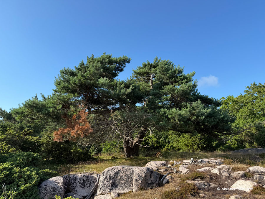 Tidligere granitbrud på Bornholm