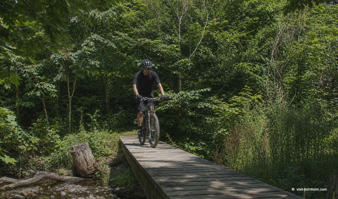 MTB på en skovsti, Bornholm
