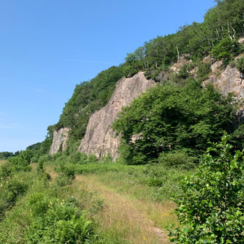 Almindingen – skov i hjertet af Bornholm