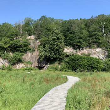 Almindingen – The Largest Forest on Bornholm