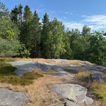 Paradisbakkerne – paradisbakkerne på Bornholm