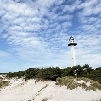 Dueodde populær strand
