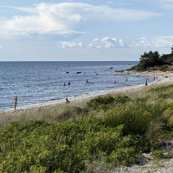Hasle Strand – ideel til afslapning og gåture