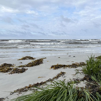 Snogebæk – strand og mole