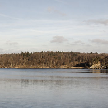 Pyritsøen – største lergrav, pyrit og dinosaurspor ved Hasle