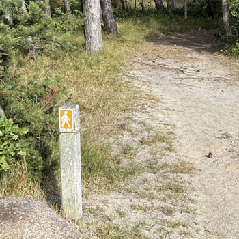 Orienteringsløb på Bornholm – skove, ruter og udendørs aktivitet