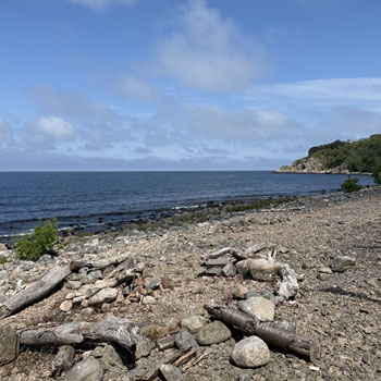 Salene Gravplads – jernalderlig gravplads ved Bornholms kyst